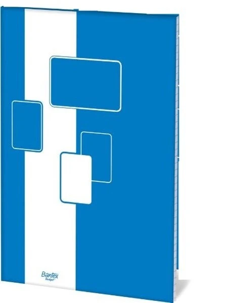 Blok biurowy A4 100 kratka