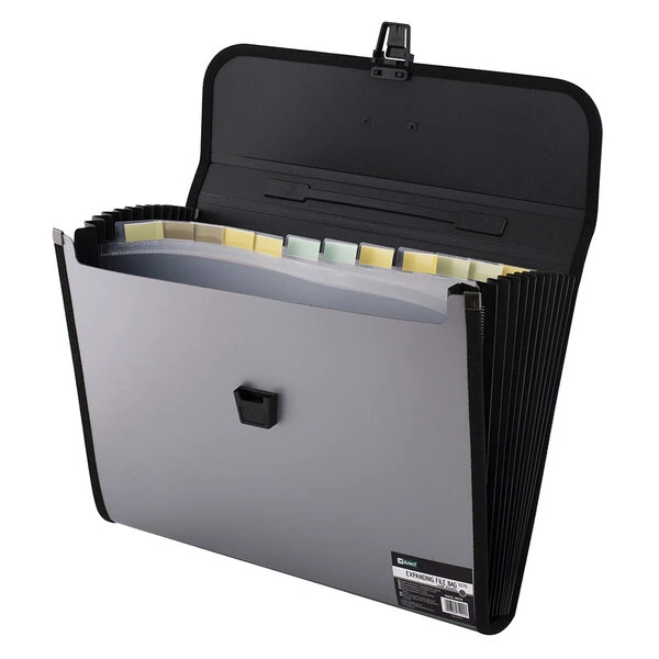 Teczka z rączką A4 D.Rect 12 przegródek 5570 szara