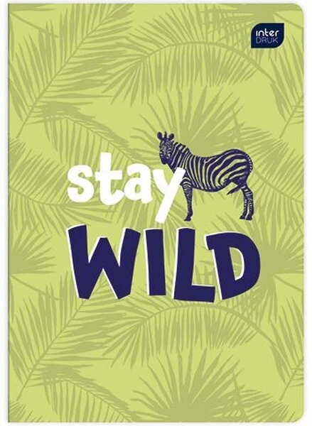 Zeszyt A5 32k kratka INTERDRUK Trends Boys