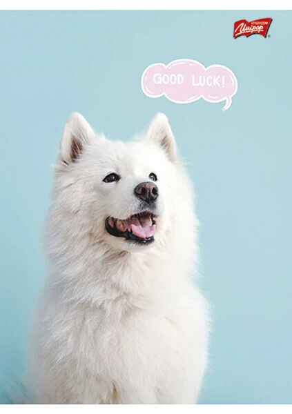 Zeszyt laminowany A5 32k szeroka linia Unipap Girls