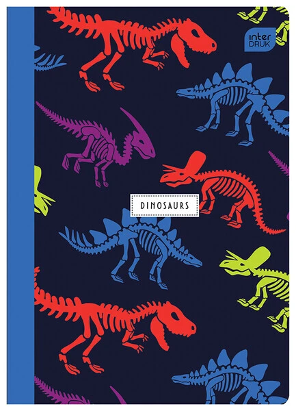 Zeszyt A5 16k 3 linia kolor INTERDRUK Trends Boys