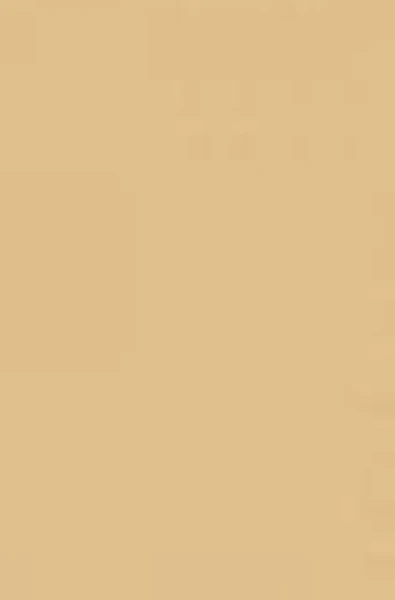 Brystol Karton A3 170g 25 ark 29,7x42 cm Chamois