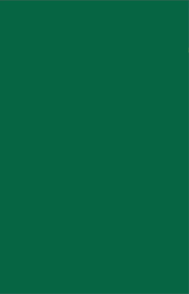 Brystol Karton A3 170g 25 ark 29,7x42 cm Ciemnozielony