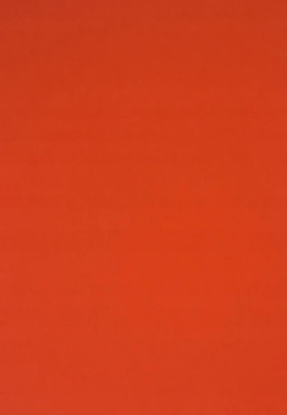 Brystol Karton A3 170g 25 ark 29,7x42 cm Pomidorowy