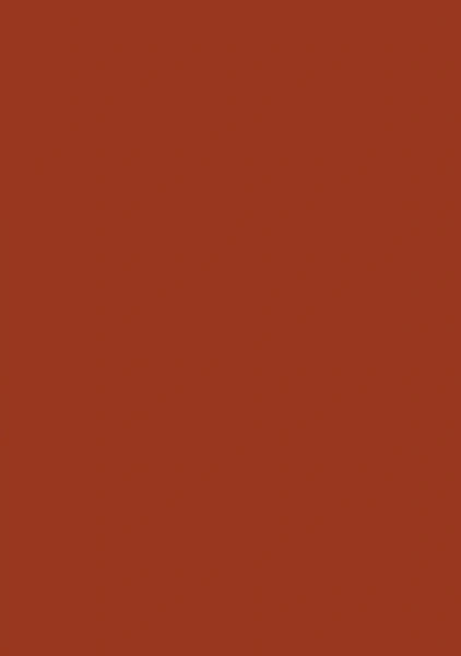 Brystol Karton A4 170g 25 ark 21x29,7 cm Brązowy