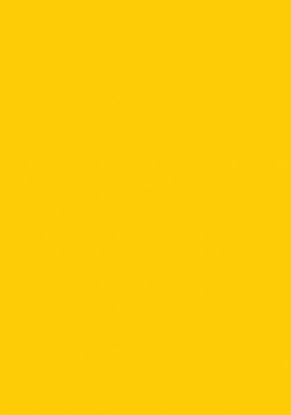 Brystol Karton A4 170g 25 ark 21x29,7 cm Żółty