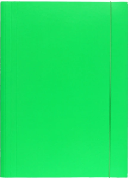Teczka z gumką lakierowana A4 300g Zielona