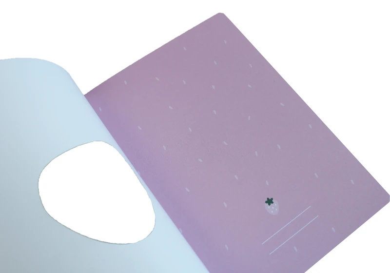 Zeszyt A5 32 linia 3 kol. Shape Girls Interdruk