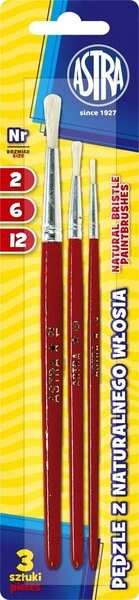 Wyprawka szkolna Duży zestaw XXL Astra Klasa 1-3