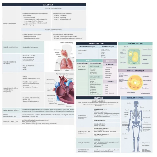 Zeszyt tematyczny A5 60k Hybrid w kratkę Biologia