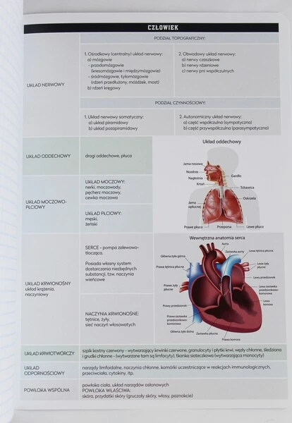 Zeszyt tematyczny A5 60k Hybrid w kratkę Biologia