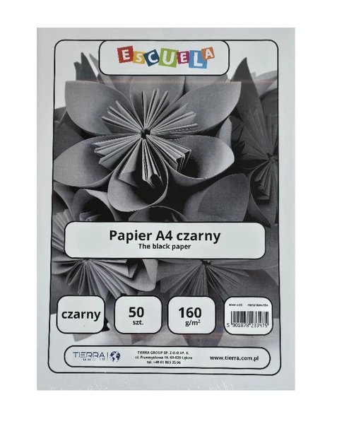 Papier ksero czarny A4 160 g