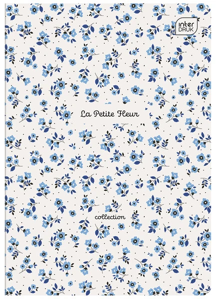 Zeszyt A5 80k kratka Interdruk w kratkę boys girls 172181