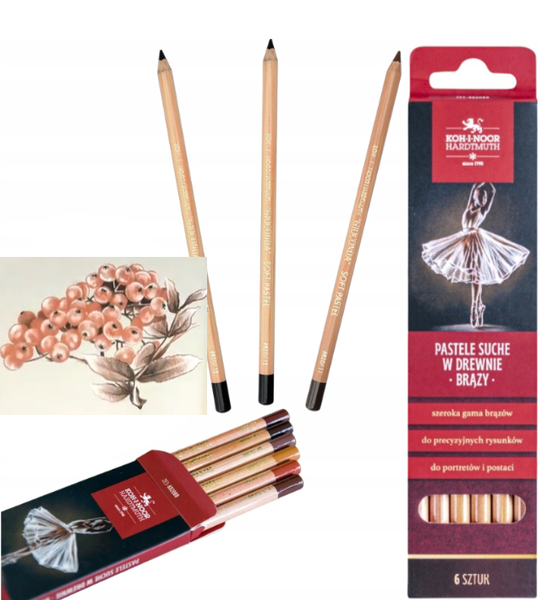 Zestaw pastele suche w drewnie 8820 Brązy 6szt KIN
