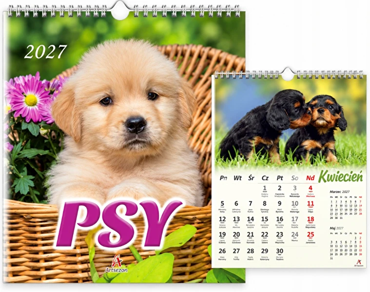 Kalendarz 2027 wieloplanszowy 33x33cm Psy ArtSezon