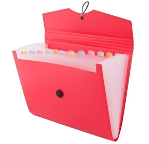 Teczka A4 D.RECT 12 przegródek 5580 czerwona