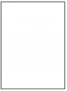 Etykiety samoprzylepne A4 Emerson 210x297 mm (podział 1 szt) 100 ark