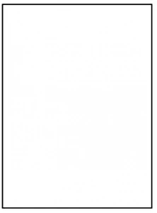 Etykiety samoprzylepne A4 Emerson 210x297 mm (podział 1 szt) 100 ark