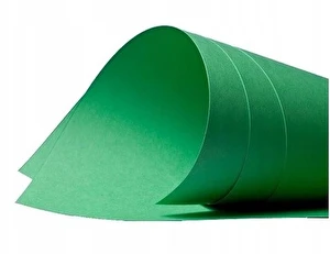 Brystol B2 220g 700x500mm Zielony