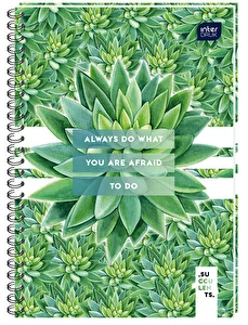 Kołozeszyt A4 120 kratka INTERDRUK