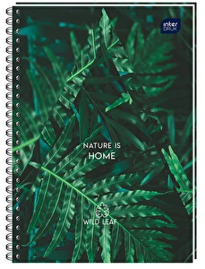 Kołozeszyt A4 50 kratka INTERDRUK