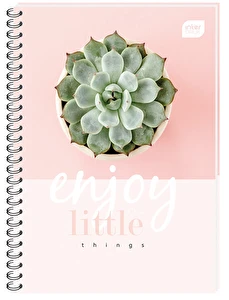 Kołozeszyt A4 50 kratka INTERDRUK