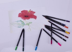 Kredki Astra ołówkowe trójkątne 12kol z czarnego drewna