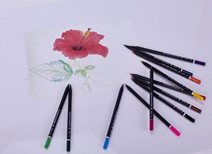 Kredki Astra ołówkowe trójkątne 12kol z czarnego drewna