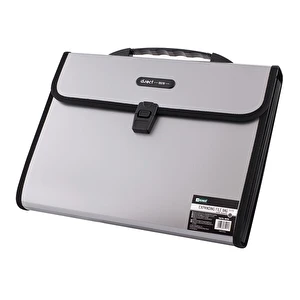 Teczka z rączką A4 D.Rect 12 przegródek 5570 szara