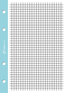Wkład A4/250k do segregatora kratka kolorowy margines