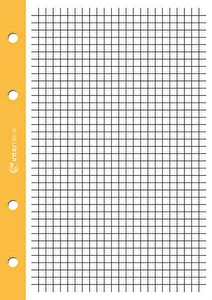 Wkład A4/250k do segregatora kratka kolorowy margines