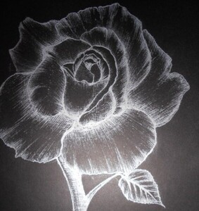 Szkicownik czarny na spirali A4 30 ark Koh-i-Noor