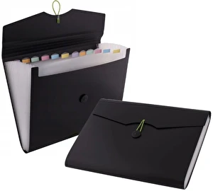 Teczka A4 D.RECT 12 przegródek 5580 czarna