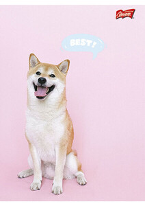 Zeszyt laminowany A5 32k szeroka linia Unipap Girls