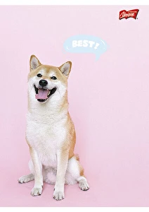 Zeszyt laminowany A5 32k szeroka linia Unipap Girls