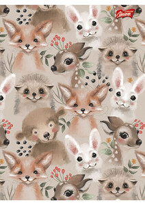 Zeszyt laminowany A5 32k szeroka linia Unipap Girls