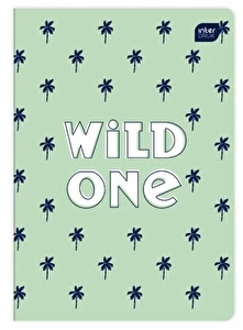 Zeszyt A5 32k kratka Trends Boys