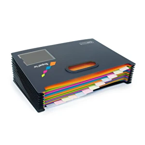 Teczka organizer 13 przegródek A4 RAPESCO