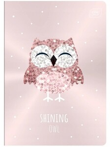 Zeszyt A5 16k kratka INTERDRUK Shine Metallic