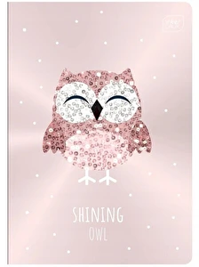 Zeszyt A5 16k kratka INTERDRUK Shine Metallic