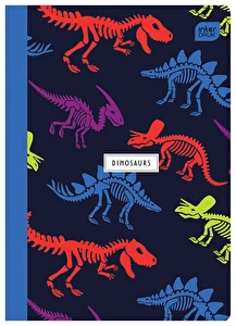 Zeszyt A5 16k 3 linia kolor INTERDRUK Trends Boys