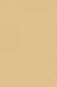 Brystol Karton A3 170g 25 ark 29,7x42 cm Chamois