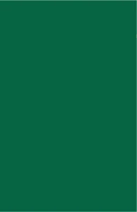 Brystol Karton A4 170g 25 ark 21x29,7 cm Ciemnozielony