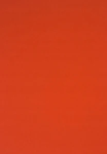 Brystol Karton A4 170g 25 ark 21x29,7 cm Pomidorowy