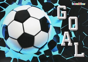 Podkład laminowany edukacyjny Goal 42 x 29,5 cm