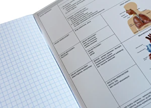 Zeszyt tematyczny A5/60k ze ściągą Zestaw Hybrid 10szt