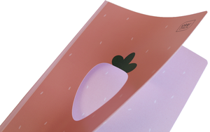 Zeszyt A5 32 linia 3 kol. Shape Girls Interdruk