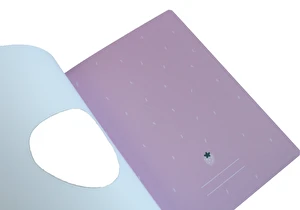 Zeszyt A5 32 linia 3 kol. Shape Girls Interdruk