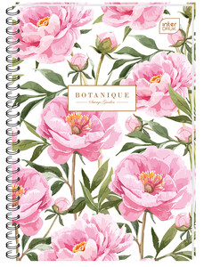 Kołozeszyt B5 100 kratka INTERDRUK kolor marg.