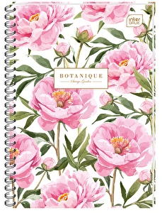 Kołozeszyt B5 100 kratka INTERDRUK kolor marg.